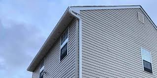 Best Historical Building Siding Restoration  in Tishomingo, OK